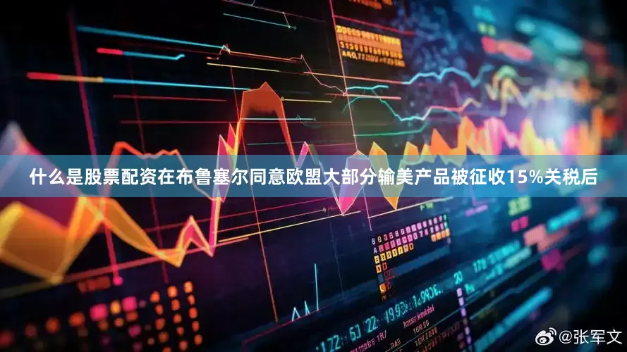 什么是股票配资在布鲁塞尔同意欧盟大部分输美产品被征收15%关税后